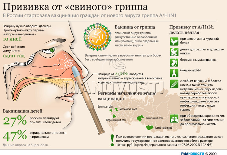 Прививка от свиного гриппа